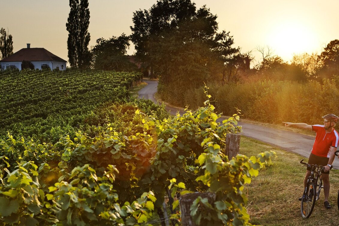 miscellaneousCyclingTour Graveling through Styria / Neustift-Mureck / Gravel Austria - Touren-Impression #1 | © Thermen- & Vulkanland
