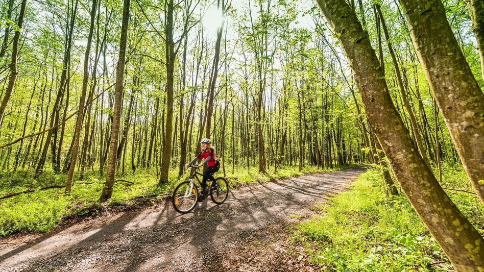 miscellaneousCyclingTour Graveling through Styria / Neustift-Mureck / Gravel Austria - Touren-Impression #2.5 | © Erlebnisregion Thermen- & Vulkanland