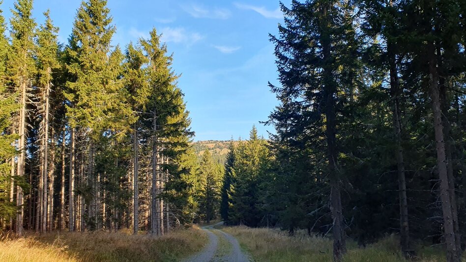 Wanderung Niederwechsel-Runde, Tränktörl - Touren-Impression #2.3 | © Tourismusverband Oststeiermark