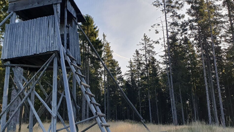 Wanderung Niederwechsel-Runde, Tränktörl - Touren-Impression #2.4 | © Tourismusverband Oststeiermark