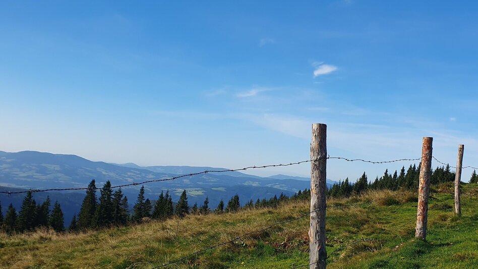 Wanderung Niederwechsel-Runde, Tränktörl - Touren-Impression #2.5 | © Tourismusverband Oststeiermark