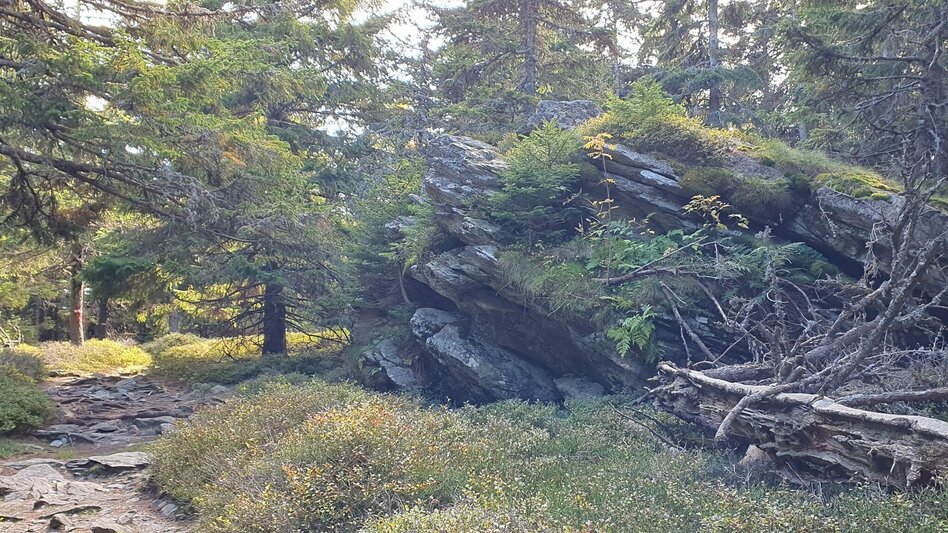 Wanderung Niederwechsel-Runde, Tränktörl - Touren-Impression #2.8 | © Tourismusverband Oststeiermark