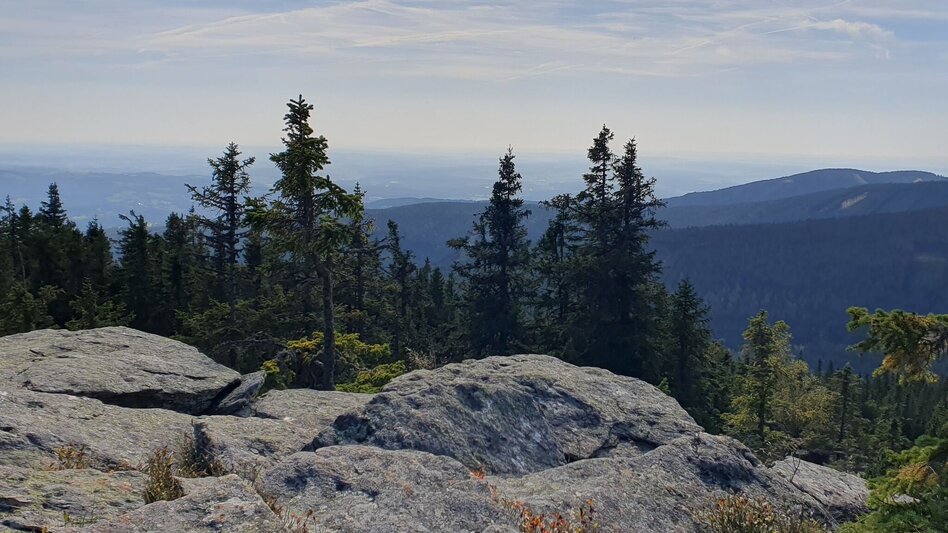 Wanderung Niederwechsel-Runde, Tränktörl - Touren-Impression #2.9 | © Tourismusverband Oststeiermark