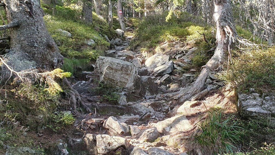 Wanderung Niederwechsel-Runde, Tränktörl - Touren-Impression #2.10 | © Tourismusverband Oststeiermark
