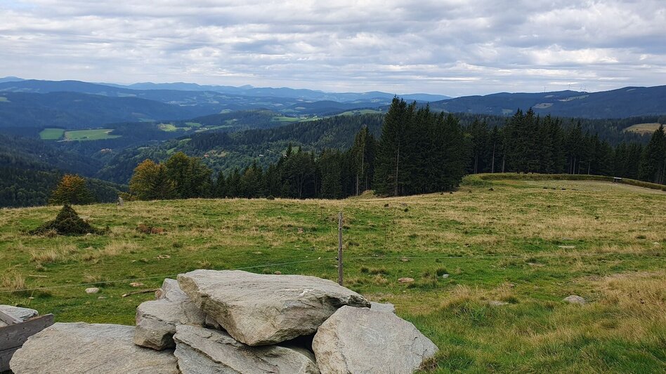 Wanderung Glatzl Trahütten Alm-Runde, St.Lorenzen am Wechsel - Touren-Impression #2.1 | © Oststeiermark Tourismus