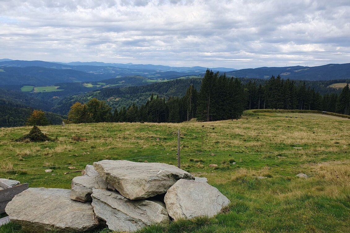 Wanderung Glatzl Trahütten Alm-Runde, St.Lorenzen am Wechsel - Touren-Impression #1 | © Oststeiermark Tourismus