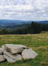 Glatzl Trahütten Alm Ausblick, Gemeinde St. Lorenzen am Wechsel in der Oststeiermark | © Oststeiermark Tourismus | Anja Reichenbäck | © Oststeiermark Tourismus