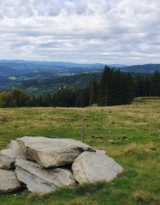 Glatzl Trahütten Alm outlook, municipality of St. Lorenzen am Wechsel in Eastern Styria | Anja Reichenbäck | © Oststeiermark Tourismus