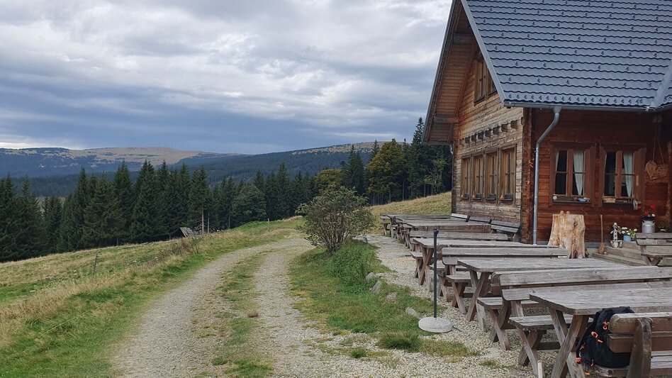 Wanderung Glatzl Trahütten Alm-Runde, St.Lorenzen am Wechsel - Touren-Impression #2.4 | © Oststeiermark Tourismus