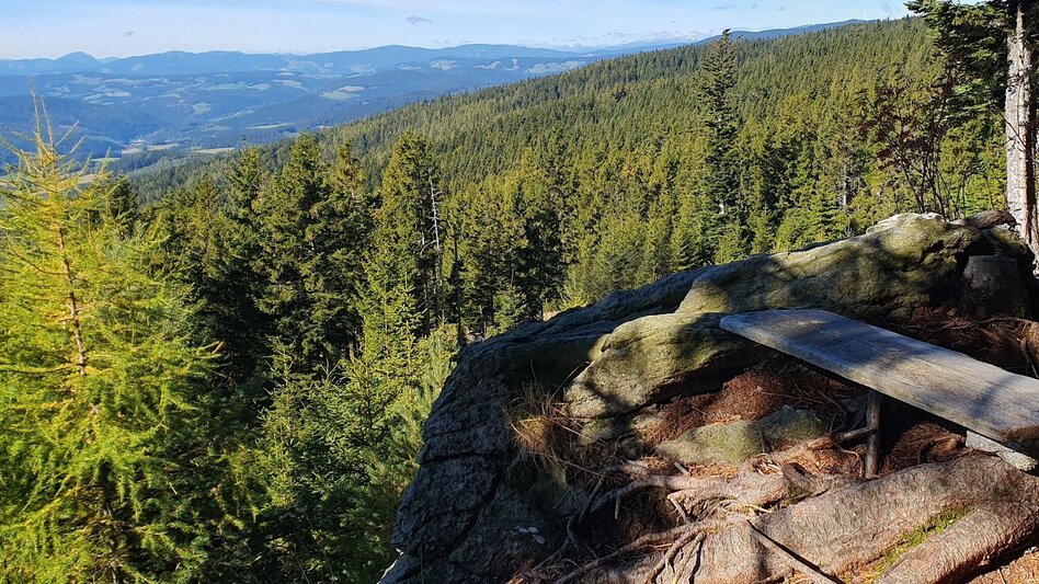 Wanderung Glatzl Trahütten Alm-Runde, St.Lorenzen am Wechsel - Touren-Impression #2.6 | © Oststeiermark Tourismus