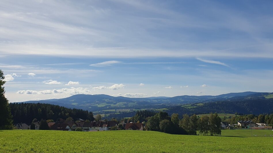 Wanderung Glatzl Trahütten Alm-Runde, St.Lorenzen am Wechsel - Touren-Impression #2.10 | © Oststeiermark Tourismus