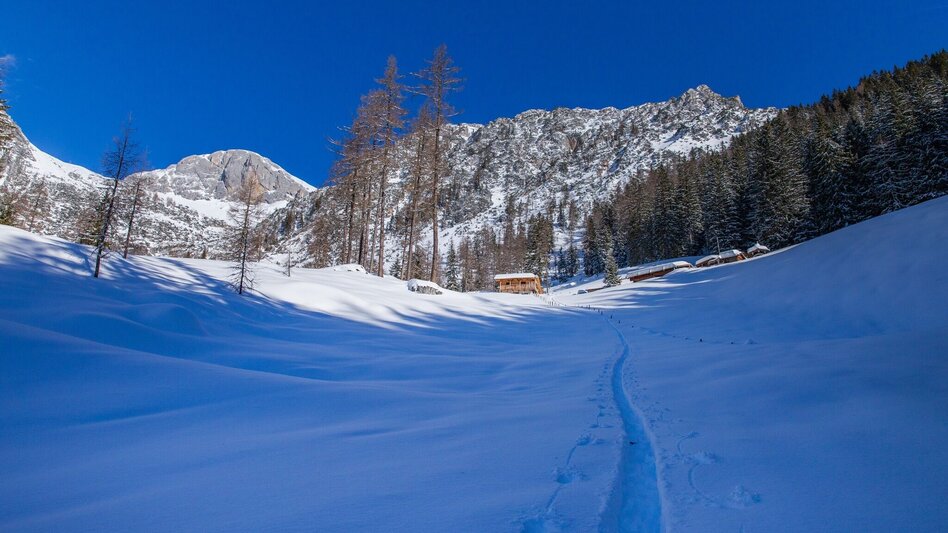 Ski Touring Scheichenspitze - High-Alpine ski tour - Touren-Impression #2.3 | © Erlebnisregion Schladming-Dachstein