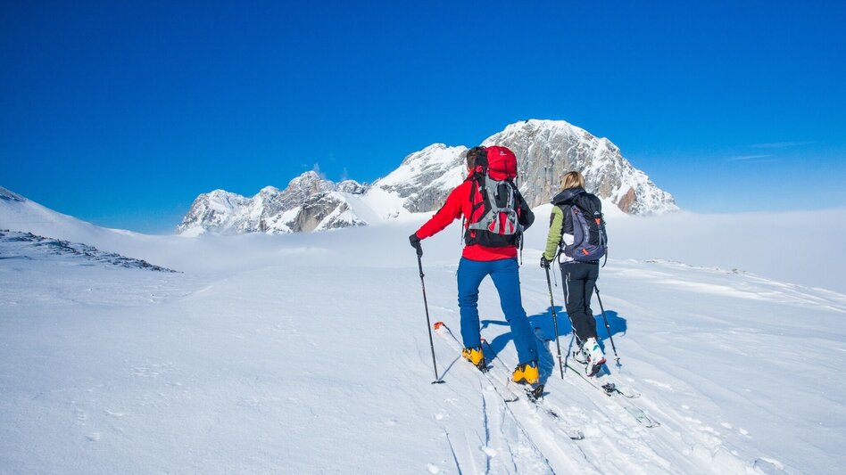 Ski Touring Scheichenspitze - High-Alpine ski tour - Touren-Impression #2.8 | © Erlebnisregion Schladming-Dachstein