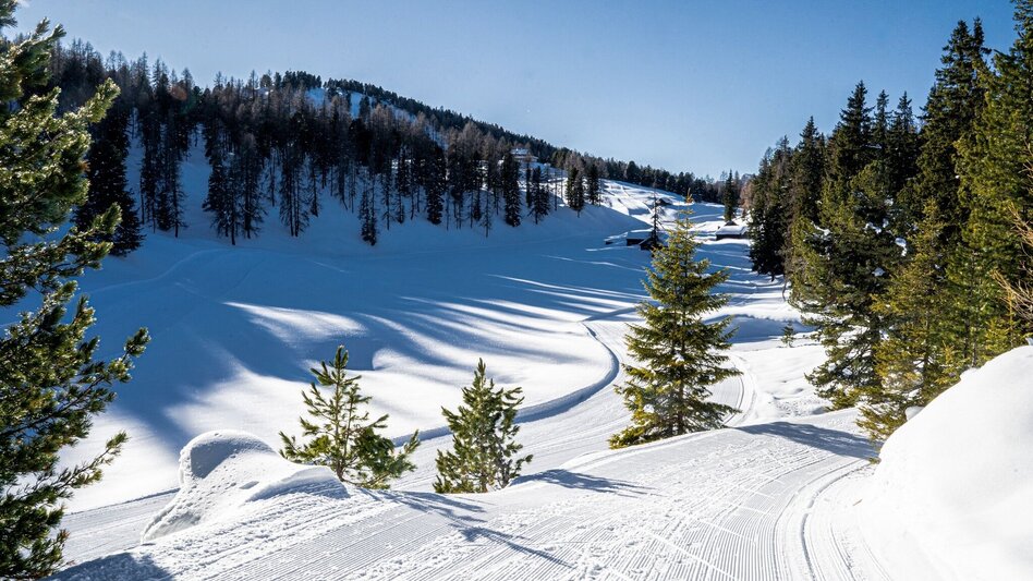 Langlauf Skating Loipe Stoderzinken - Touren-Impression #2.3 | © Erlebnisregion Schladming-Dachstein