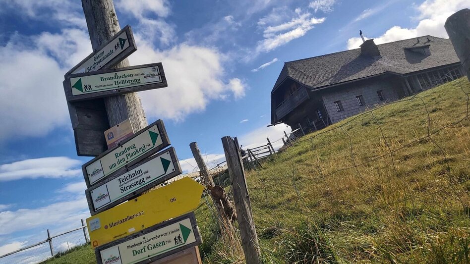 Hiking route Haberlstall-Round, Sommeralm - Touren-Impression #2.2 | © Oststeiermark Tourismus