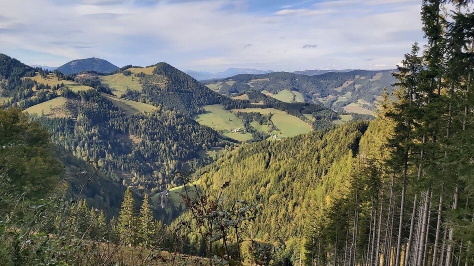 Hiking route Haberlstall-Round, Sommeralm - Touren-Impression #2.3 | © Oststeiermark Tourismus