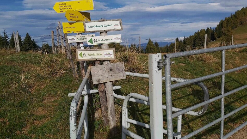 Hiking route Haberlstall-Round, Sommeralm - Touren-Impression #2.5 | © Oststeiermark Tourismus