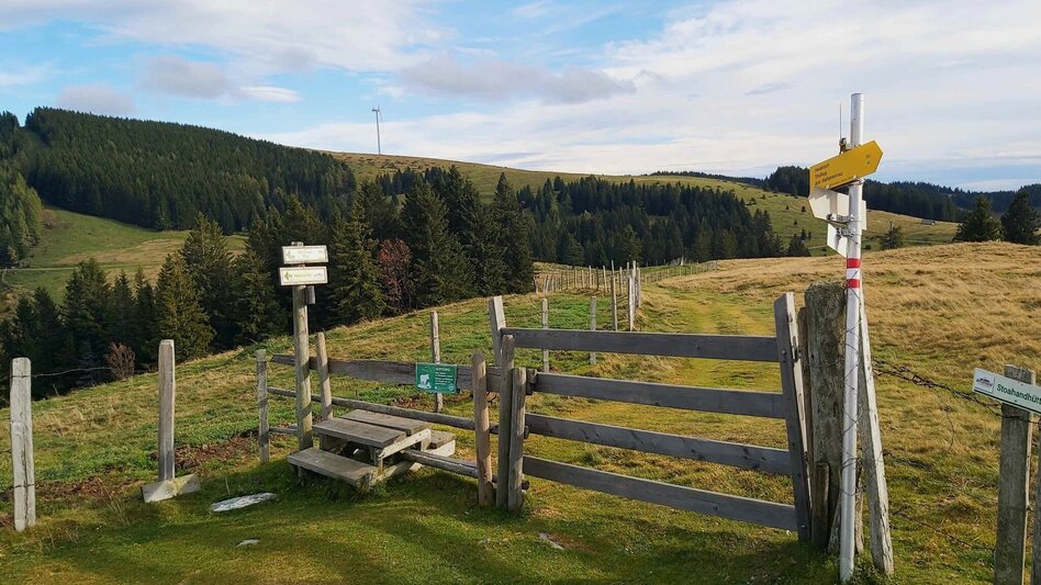 Hiking route Haberlstall-Round, Sommeralm - Touren-Impression #2.6 | © Oststeiermark Tourismus