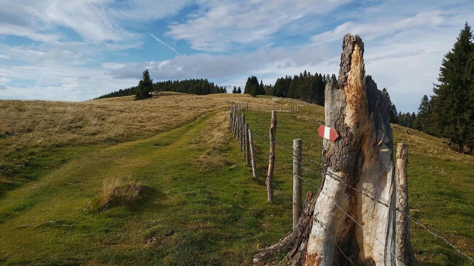 Hiking route Haberlstall-Round, Sommeralm - Touren-Impression #2.7 | © Oststeiermark Tourismus