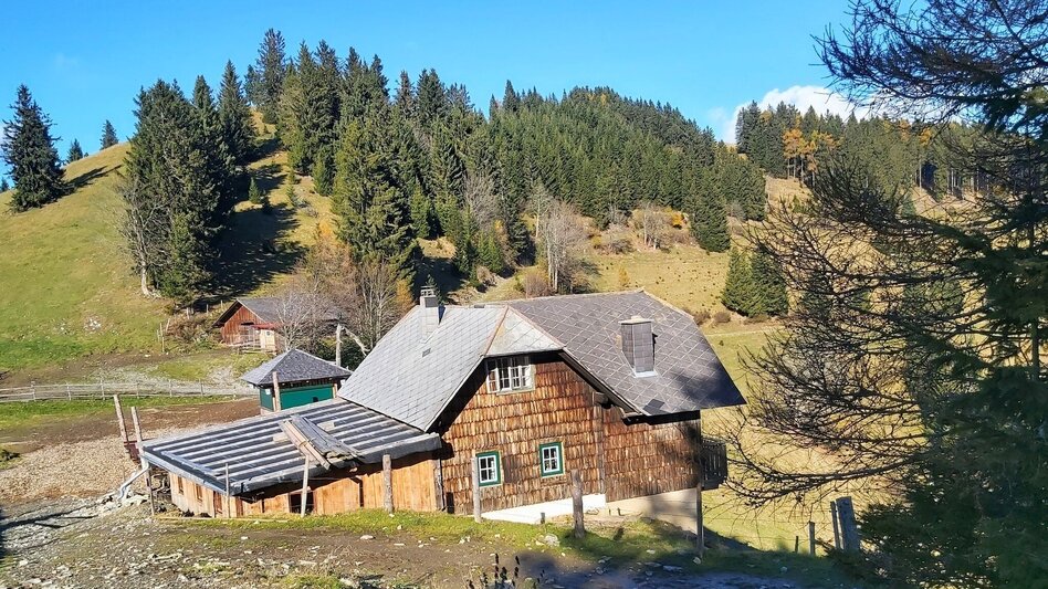 Hiking route Haberlstall-Round, Sommeralm - Touren-Impression #2.8 | © Oststeiermark Tourismus