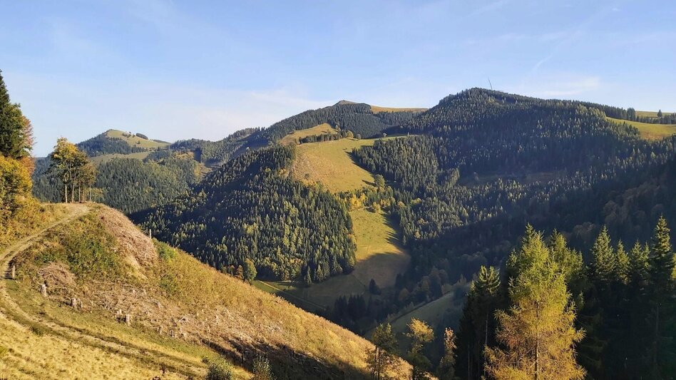Hiking route Haberlstall-Round, Sommeralm - Touren-Impression #2.9 | © Oststeiermark Tourismus