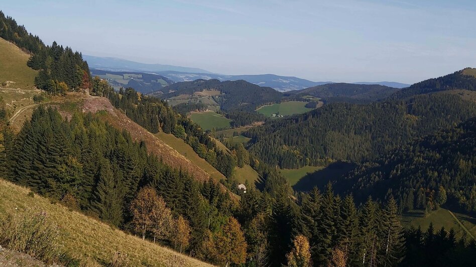 Hiking route Haberlstall-Round, Sommeralm - Touren-Impression #2.11 | © Oststeiermark Tourismus