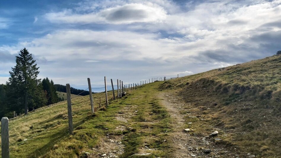 Hiking route Haberlstall-Round, Sommeralm - Touren-Impression #2.12 | © Oststeiermark Tourismus