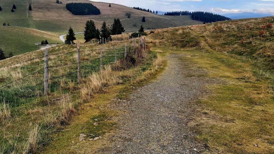 Hiking route Haberlstall-Round, Sommeralm - Touren-Impression #2.16 | © Oststeiermark Tourismus