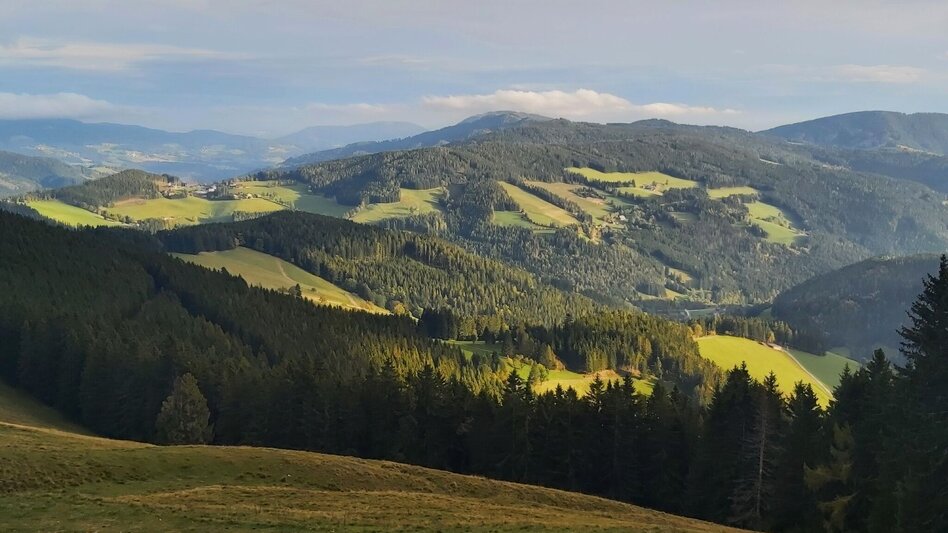 Hiking route Haberlstall-Round, Sommeralm - Touren-Impression #2.17 | © Oststeiermark Tourismus