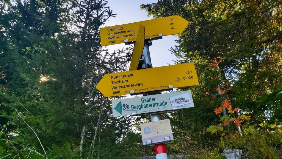 Hiking route Haberlstall-Round, Sommeralm - Touren-Impression #2.18 | © Oststeiermark Tourismus