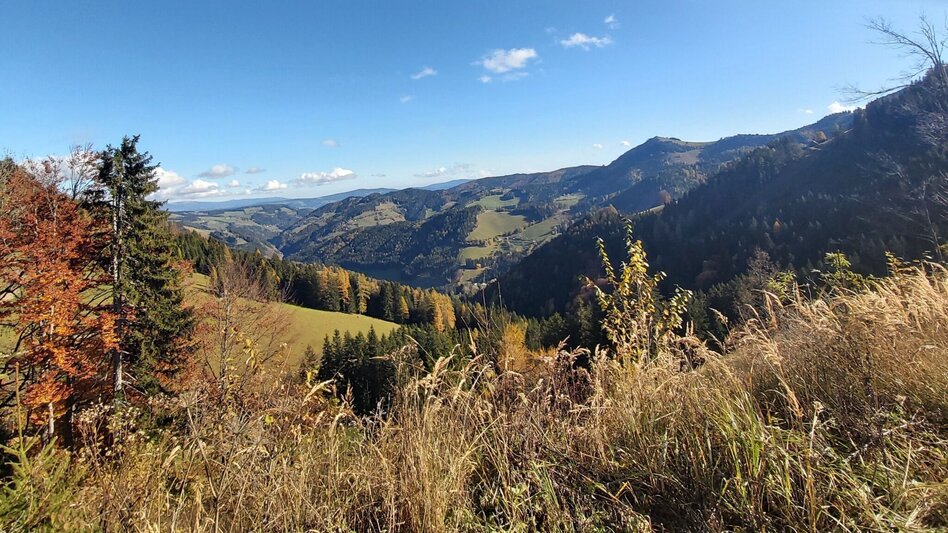 Hiking route Haberlstall-Round, Strassegg - Touren-Impression #2.14 | © Oststeiermark Tourismus