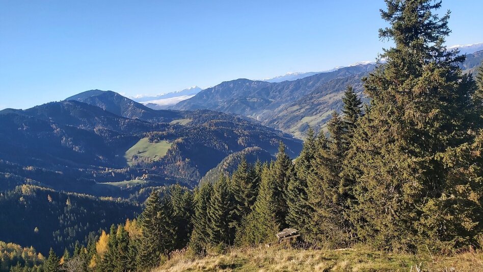 Hiking route Haberlstall-Round, Strassegg - Touren-Impression #2.5 | © Oststeiermark Tourismus