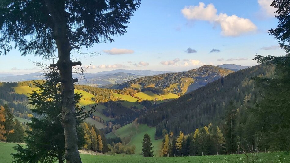 Hiking route Haberlstall-Round, Strassegg - Touren-Impression #2.6 | © Oststeiermark Tourismus