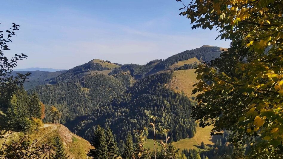 Hiking route Haberlstall-Round, Strassegg - Touren-Impression #2.7 | © Oststeiermark Tourismus
