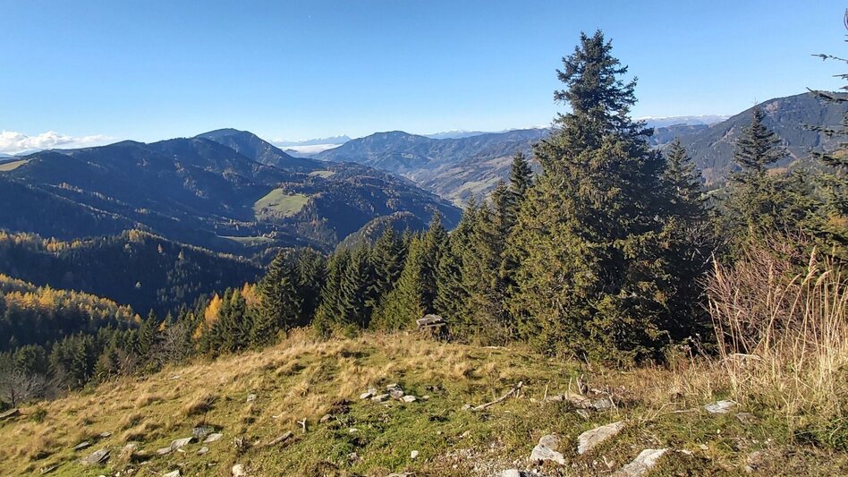 Hiking route Haberlstall-Round, Strassegg - Touren-Impression #2.11 | © Oststeiermark Tourismus