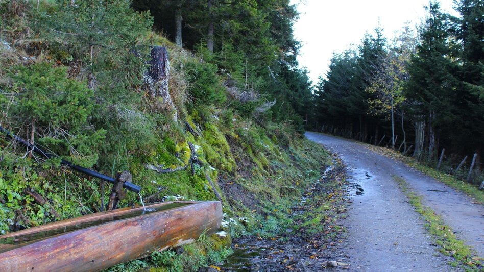 Hiking route Haberlstall-Round, Strassegg - Touren-Impression #2.13 | © Oststeiermark Tourismus