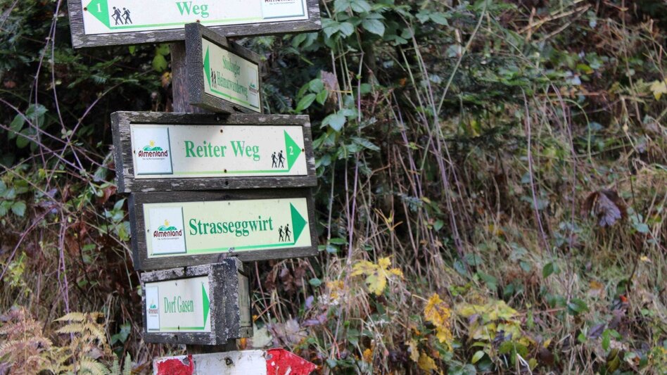 Hiking route Haberlstall-Round, Strassegg - Touren-Impression #2.16 | © Oststeiermark Tourismus