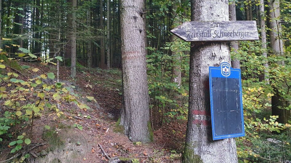 Wanderung Hartberg-Runde mit Kreuzbühel Kapelle, Schäffern - Touren-Impression #2.4 | © Oststeiermark Tourismus