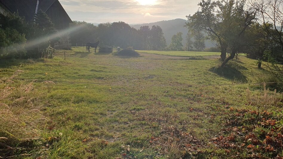 Wanderung Hartberg-Runde mit Kreuzbühel Kapelle, Schäffern - Touren-Impression #2.5 | © Oststeiermark Tourismus