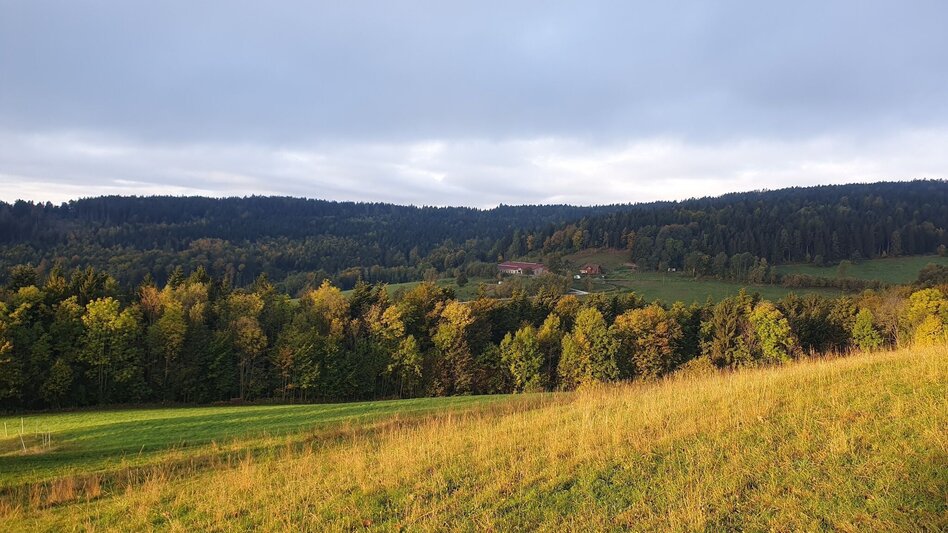 Wanderung Hartberg-Runde mit Kreuzbühel Kapelle, Schäffern - Touren-Impression #2.6 | © Oststeiermark Tourismus