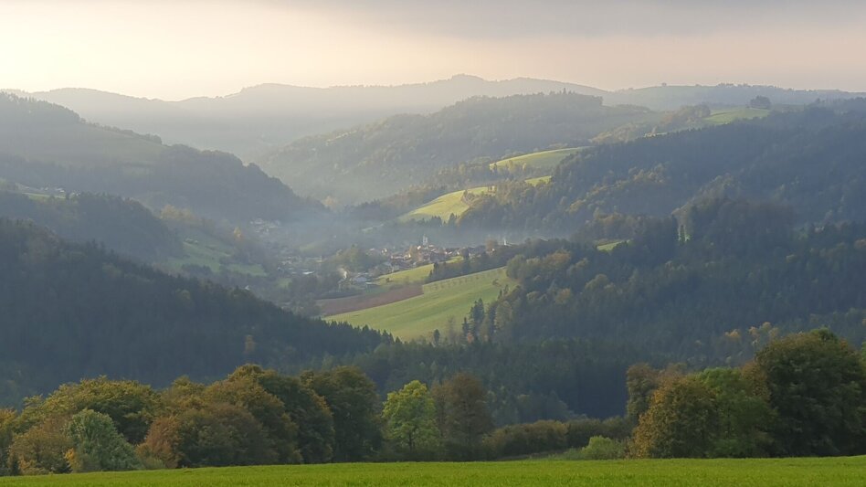 Wanderung Hartberg-Runde mit Kreuzbühel Kapelle, Schäffern - Touren-Impression #2.9 | © Oststeiermark Tourismus
