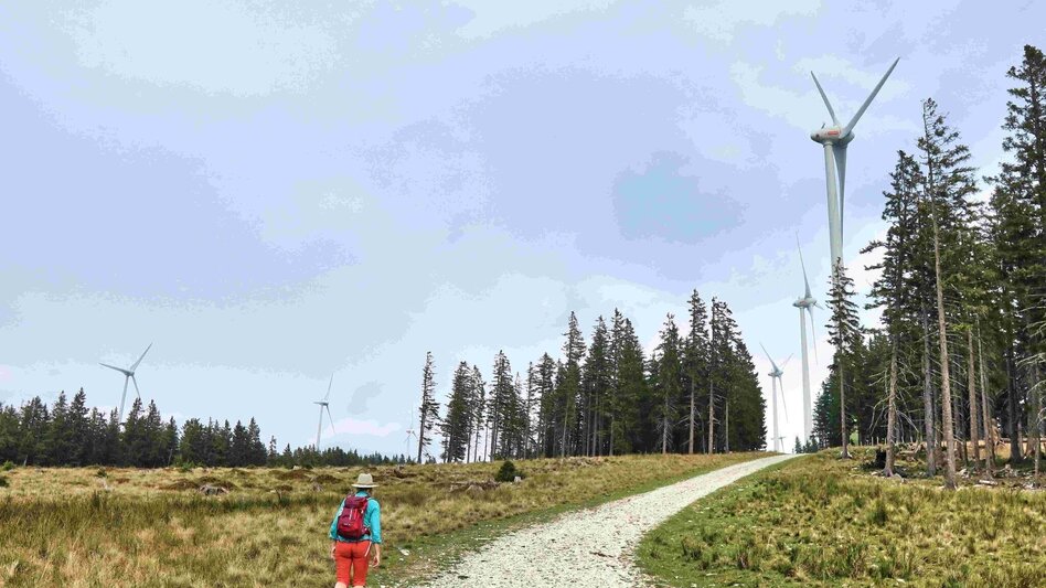 Wanderung Auf den Steinriegel, Ratten - Touren-Impression #2.1 | © Oststeiermark Tourismus