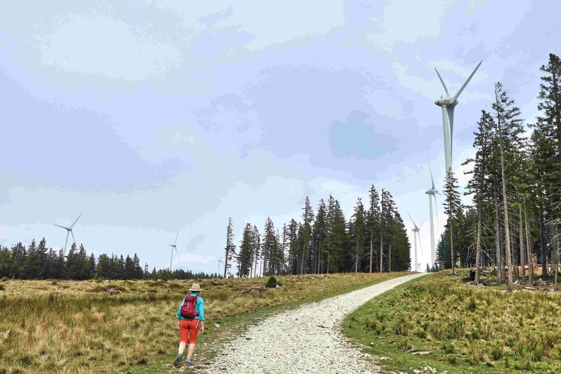 Wanderung Auf den Steinriegel, Ratten - Touren-Impression #1 | © Oststeiermark Tourismus