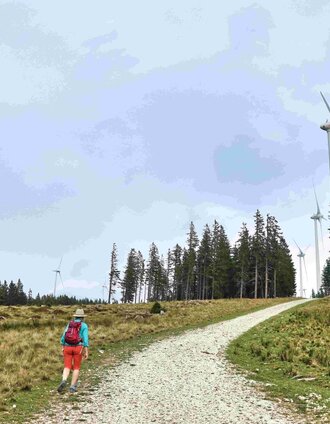 Steinriegel above Ratten in Joglland-Waldheimat, Eastern Styria | WEGES WEGES | © Oststeiermark Tourismus