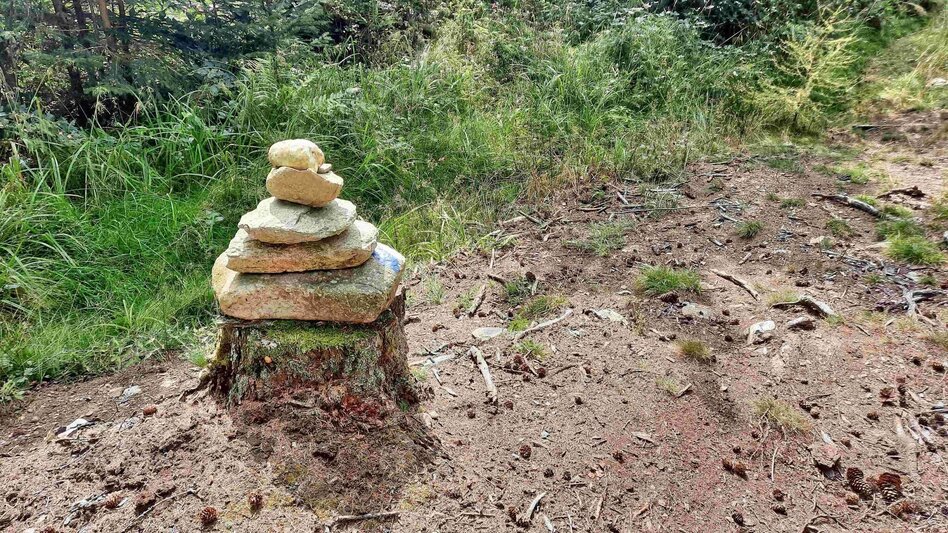 Wanderung Auf den Steinriegel, Ratten - Touren-Impression #2.6 | © Oststeiermark Tourismus