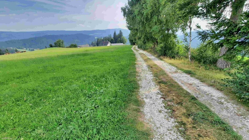 Wanderung Auf den Steinriegel, Ratten - Touren-Impression #2.9 | © Oststeiermark Tourismus