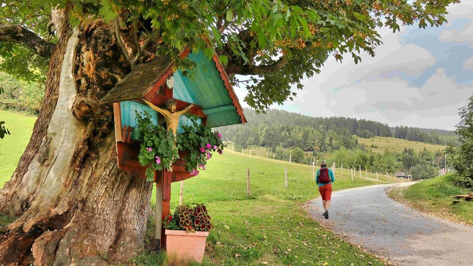 Wanderung Auf den Steinriegel, Ratten - Touren-Impression #2.10 | © Oststeiermark Tourismus