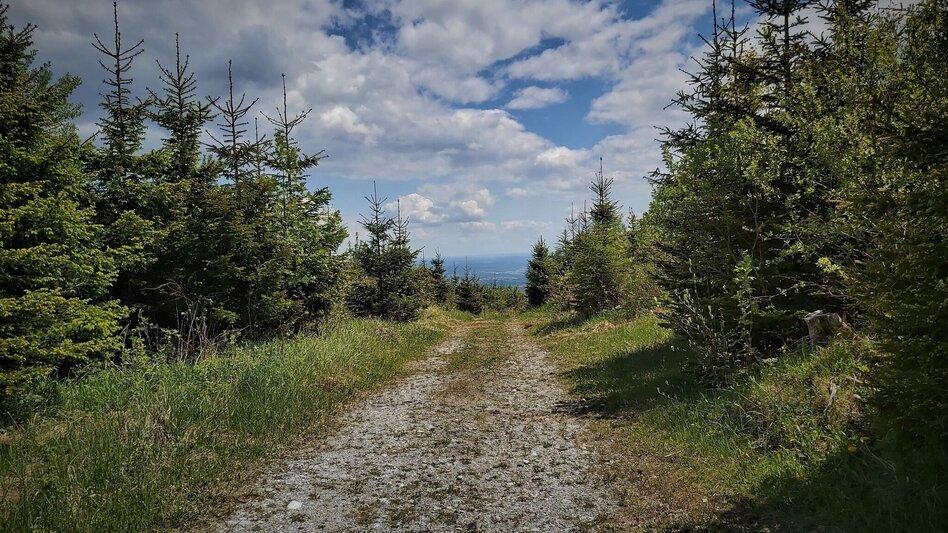 Wanderung Gösser & Sattelberge-Runde, Dürntal/Weiz - Touren-Impression #2.2 | © Oststeiermark Tourismus