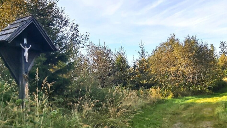 Wanderung Gösser & Sattelberge-Runde, Dürntal/Weiz - Touren-Impression #2.4 | © Oststeiermark Tourismus