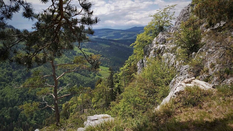 Wanderung Gösser & Sattelberge-Runde, Dürntal/Weiz - Touren-Impression #2.1 | © Oststeiermark Tourismus